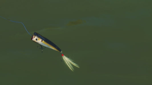 ReCast Topwater Popper