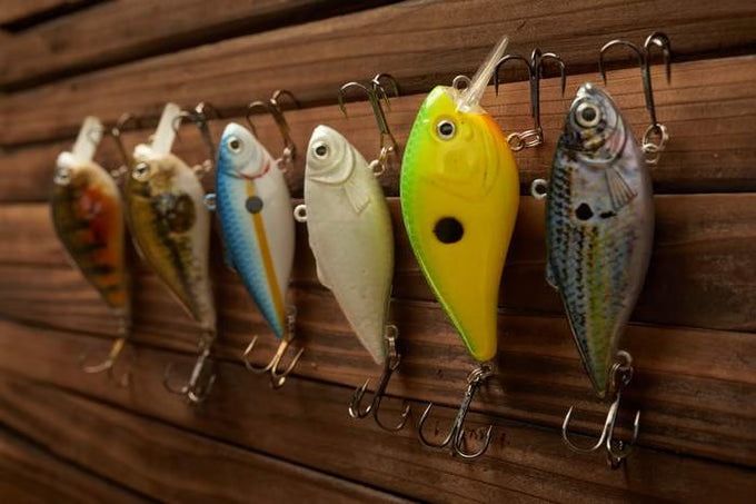 Fishing Lures
