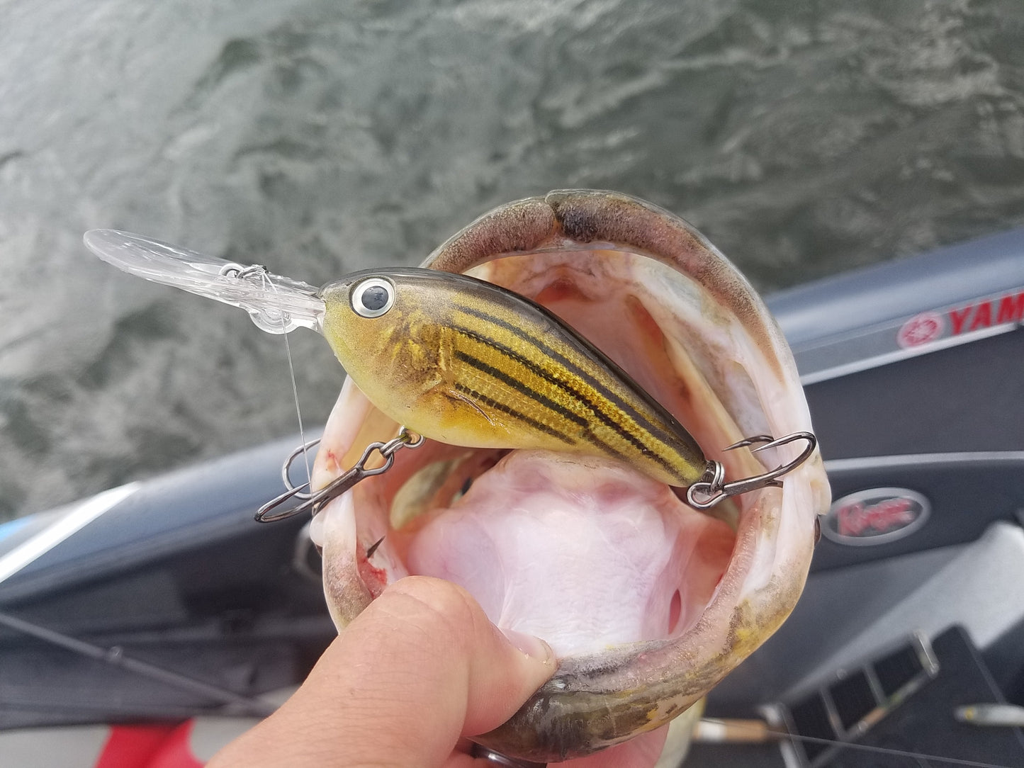 Deep Diving Crankbait