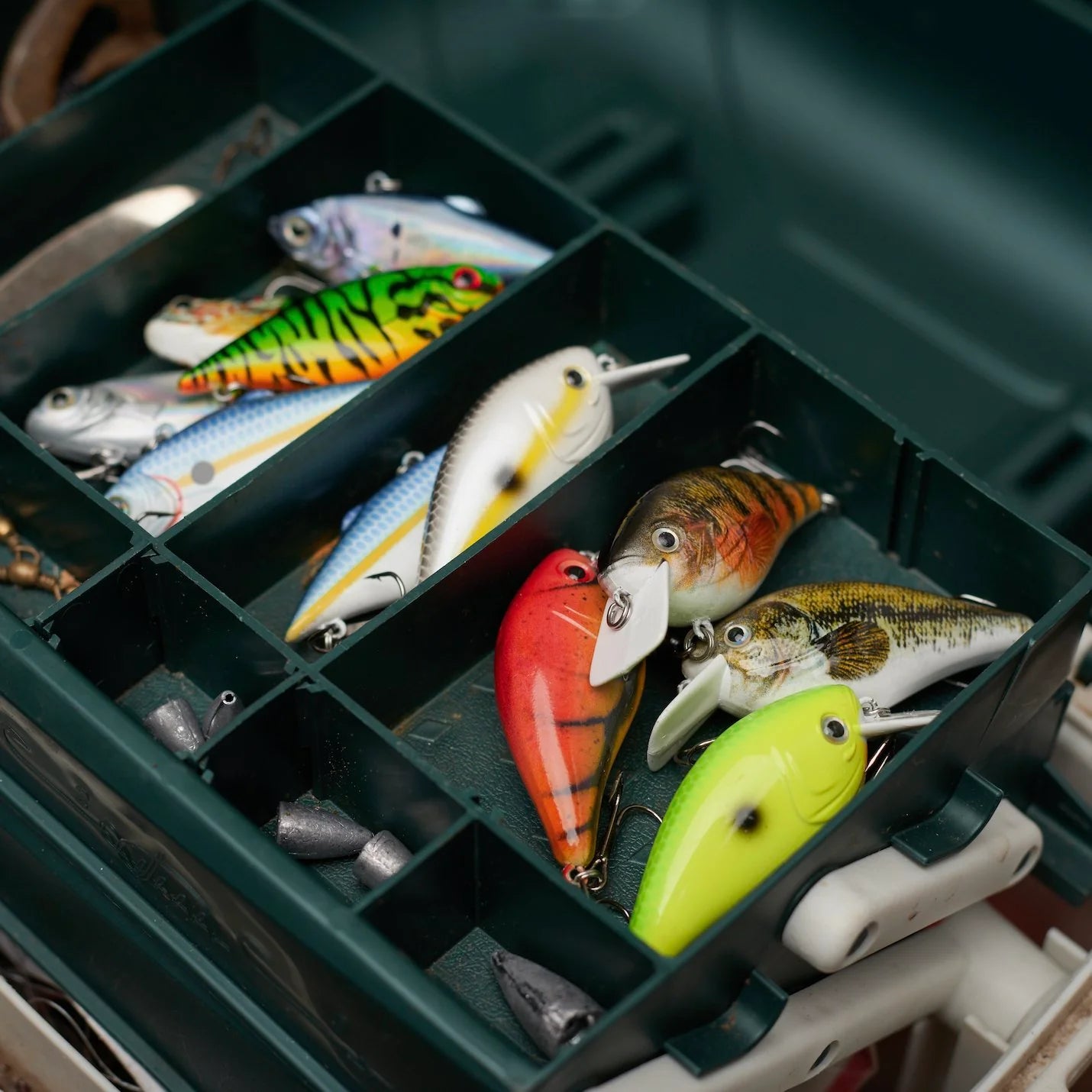 ReCast Family Lure Bundle