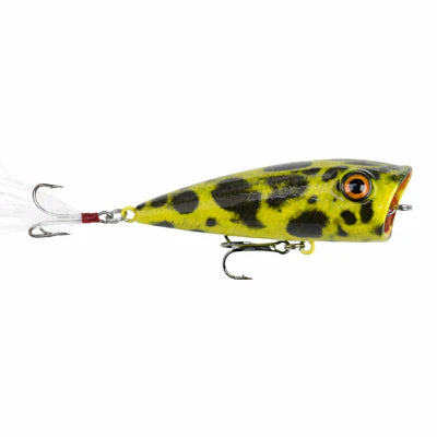 ReCast Topwater Popper