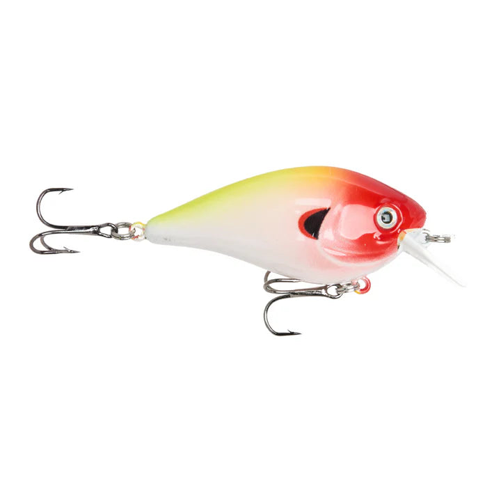 ReCast Family Lure Bundle